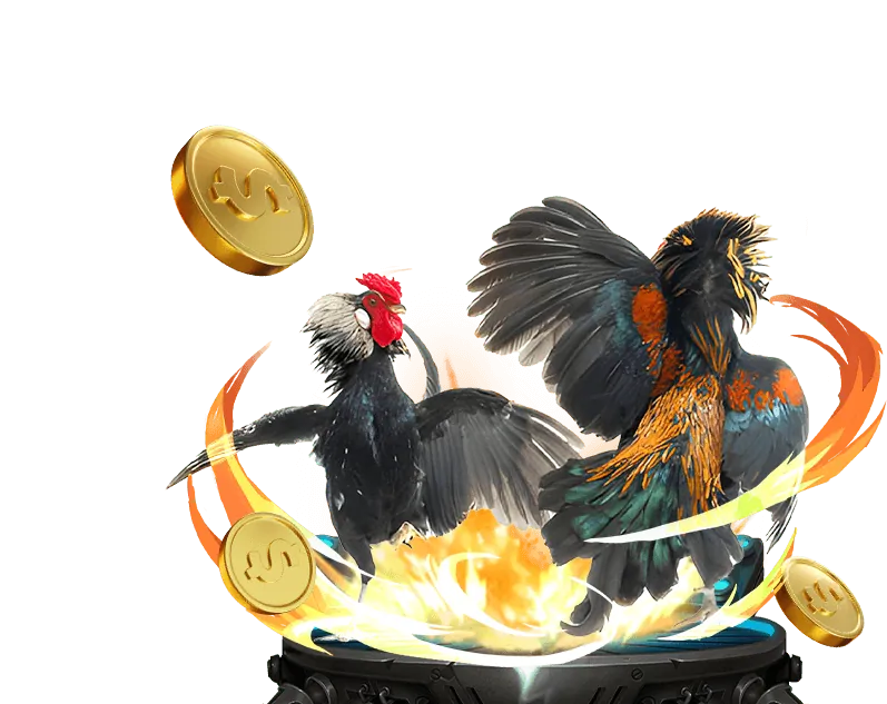 Mẹo cá cược đá gà hiệu quả tại 6vin win